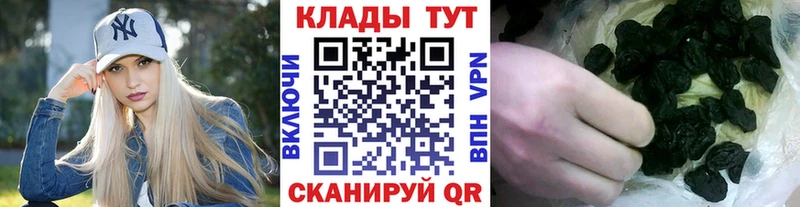 Наркотические вещества Волхов A PVP  ГАШИШ  АМФЕТАМИН  Бошки Шишки 