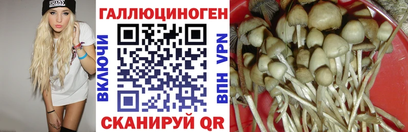 Галлюциногенные грибы прущие грибы  Волхов 